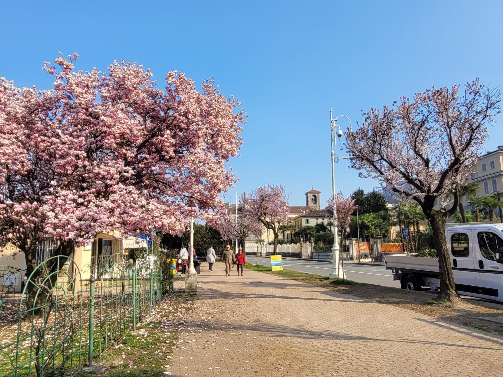 Al Dolce Vita Stresa Bagian luar foto